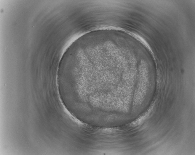 X0000061140847200512091932