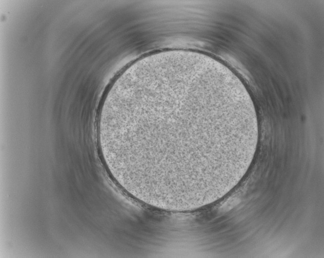 X0000061140848200512091932