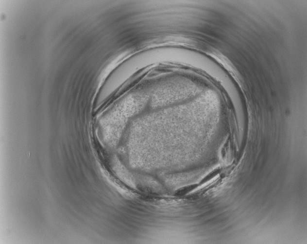 X0000061140850200512091932