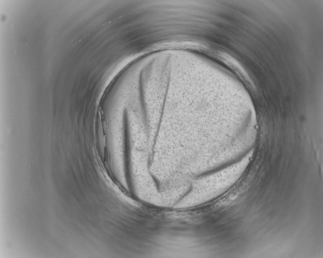 X0000061140852200512091932