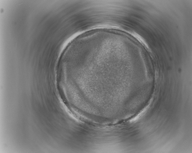 X0000061140854200512091932