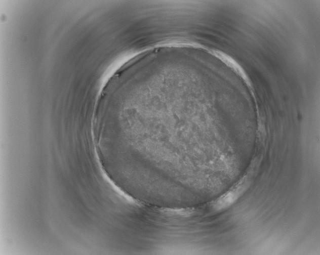 X0000061140855200512091932