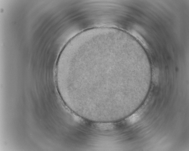 X0000061140856200512091932