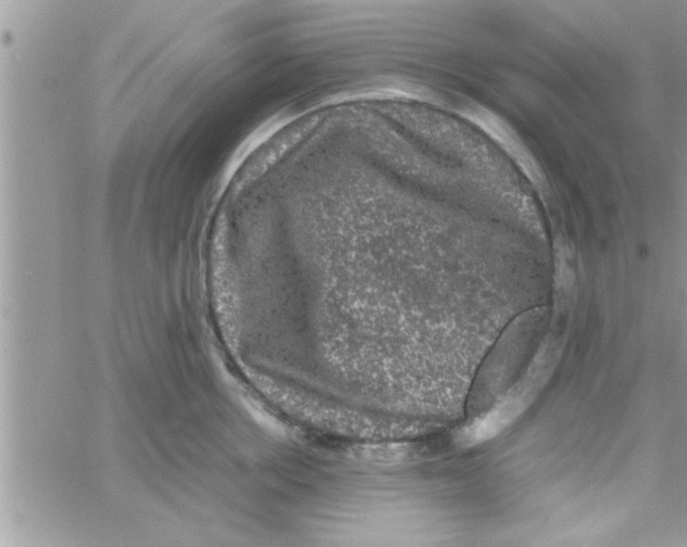 X0000061140858200512091932