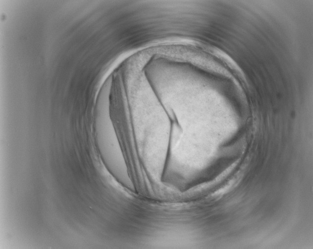 X0000061140860200512091932