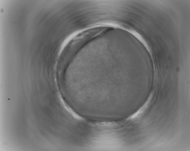 X0000061140862200512091932