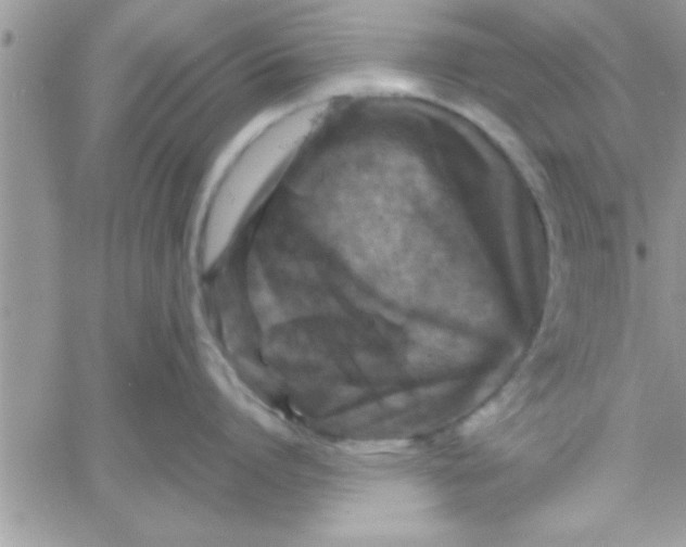 X0000061140864200512091932