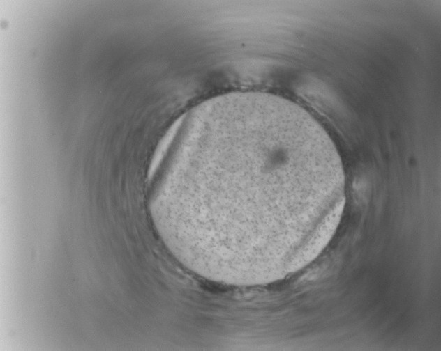 X0000061140865200512091931