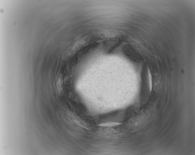 X0000061140866200512091931