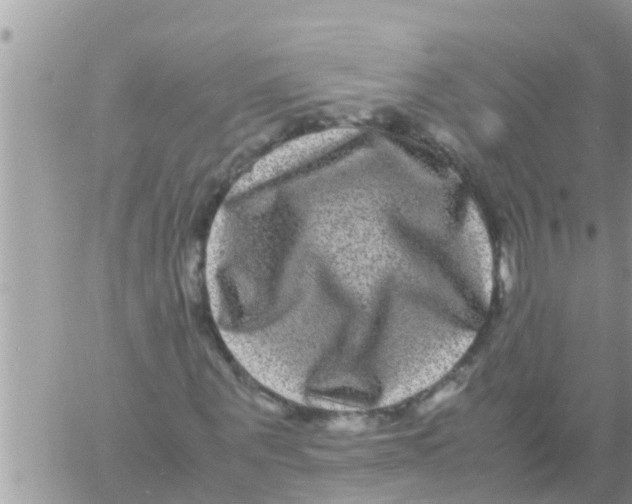 X0000061140867200512091931