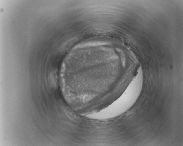 X0000061140868200512091931