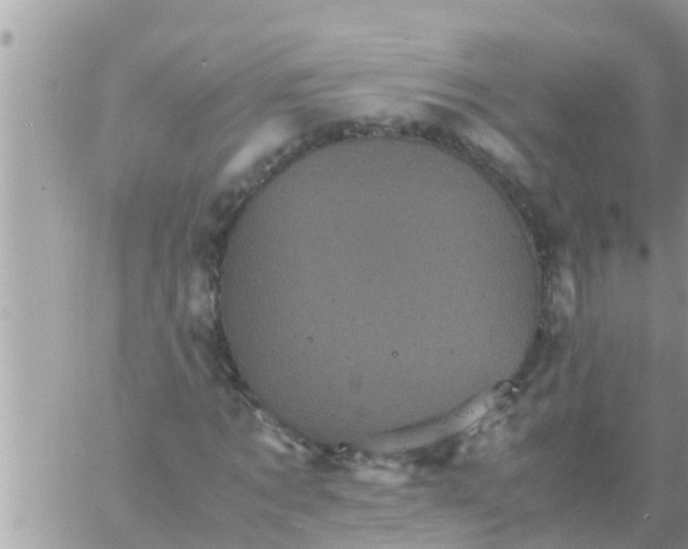 X0000061140869200512091931