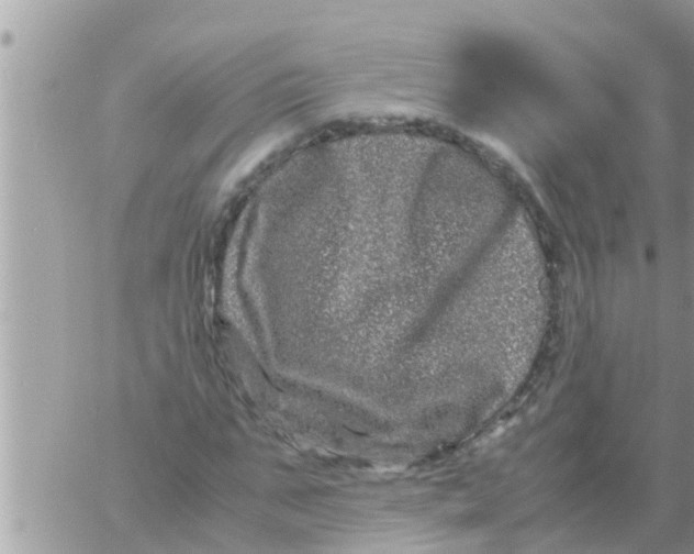 X0000061140871200512091931