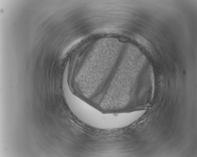 X0000061140872200512091931