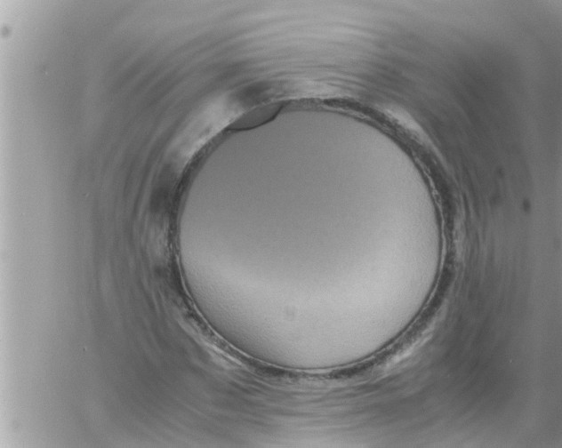 X0000061140873200512091931