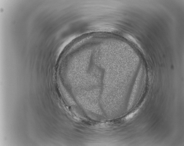 X0000061140875200512091931