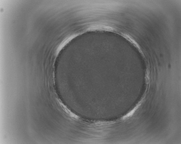 X0000061140877200512091931