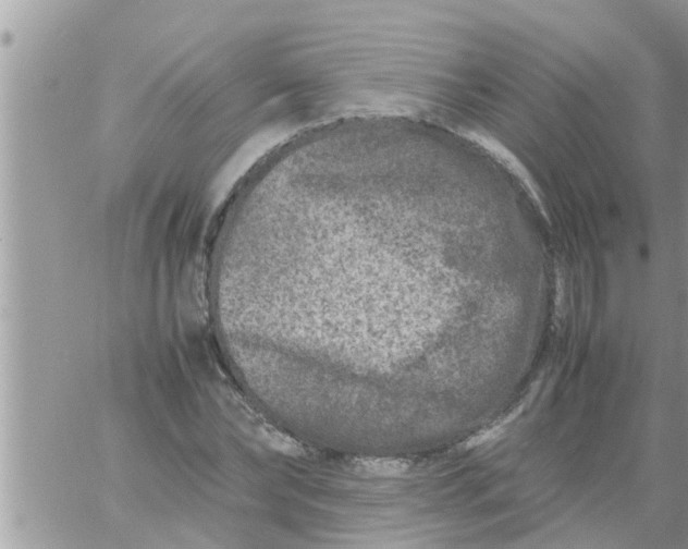 X0000061140878200512091931