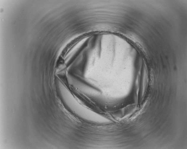 X0000061140880200512091931