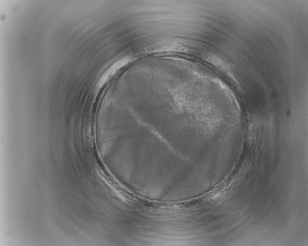 X0000061140882200512091931