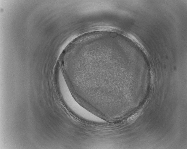 X0000061140883200512091931