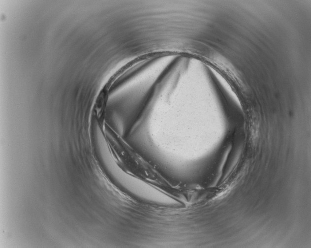 X0000061140884200512091931