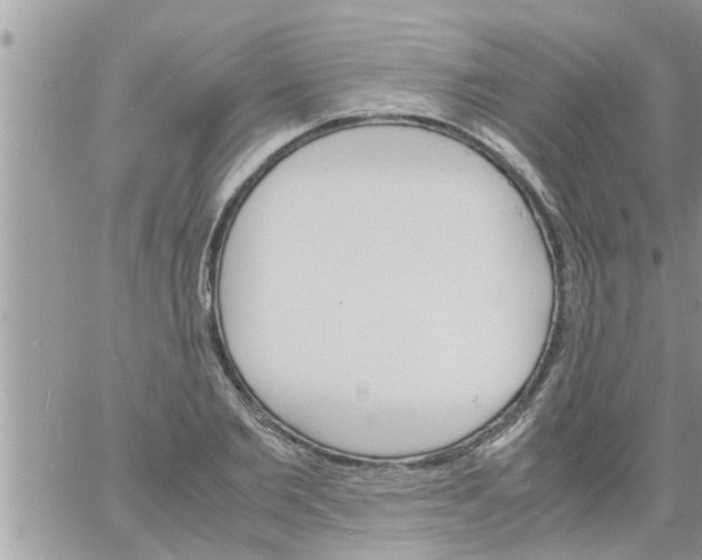 X0000061140885200512091931