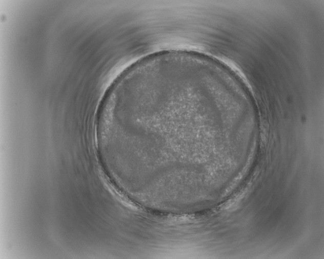 X0000061140887200512091931