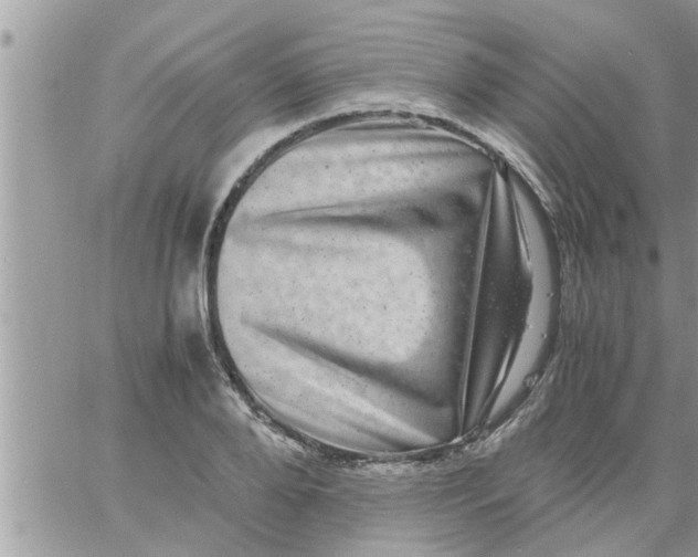 X0000061140888200512091931