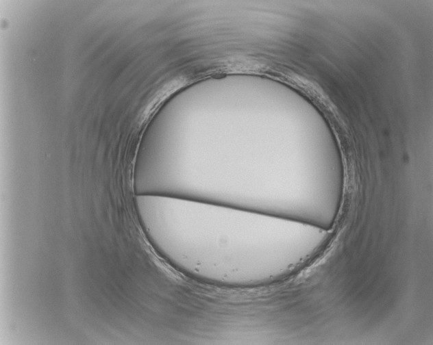 X0000061140889200512091931