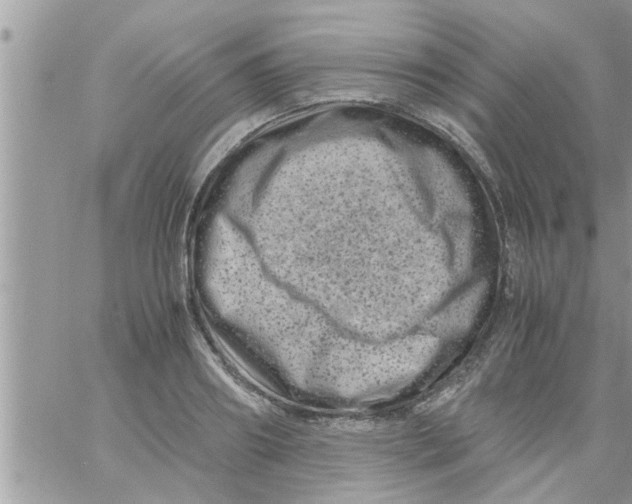 X0000061140890200512091931