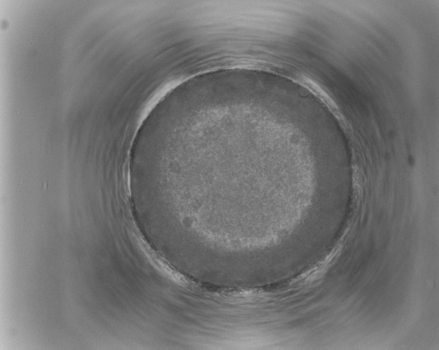 X0000061140891200512091931