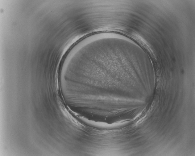 X0000061140892200512091931