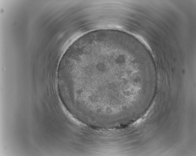 X0000061140895200512091931