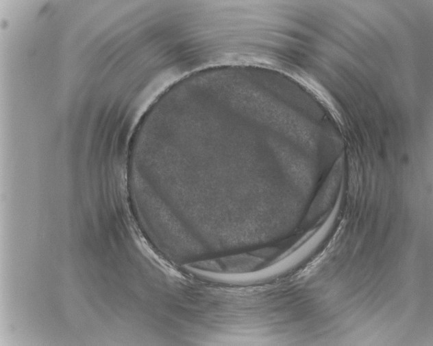 X0000061140896200512091931