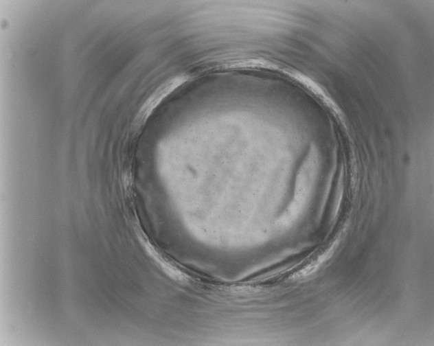 X0000061140897200512091931