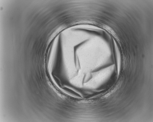 X0000061140898200512091931