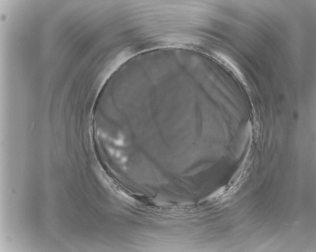 X0000061140899200512091931