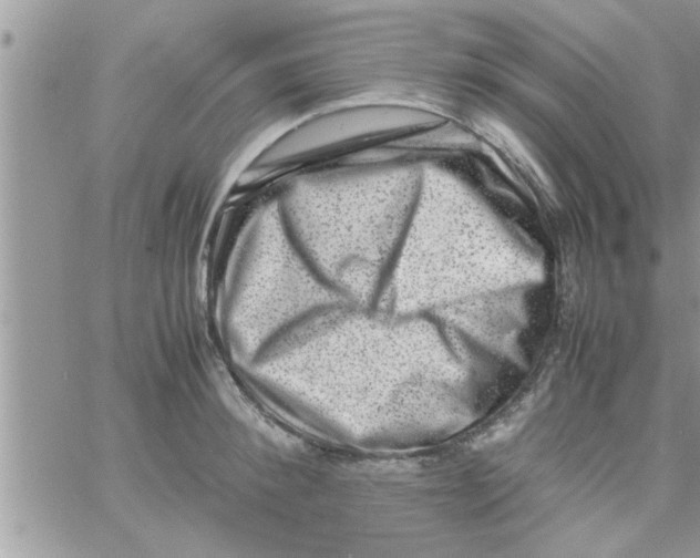 X0000061140900200512091931