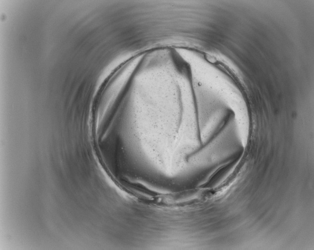 X0000061140902200512091931