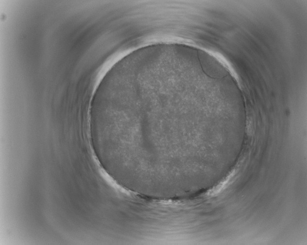 X0000061140903200512091931