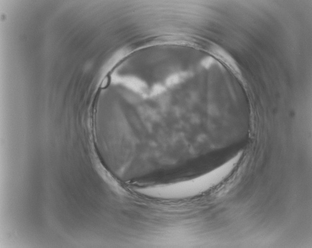 X0000061140907200512091930