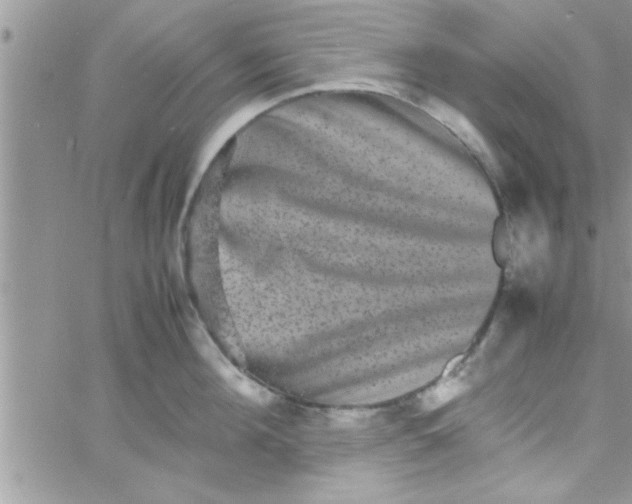 X0000061140908200512091930