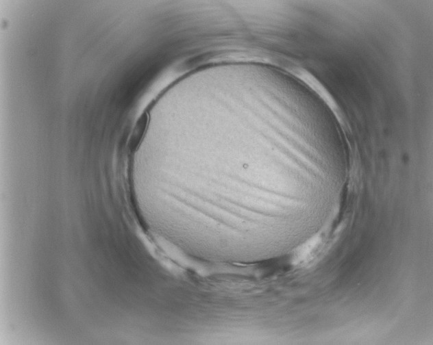 X0000061140909200512091930