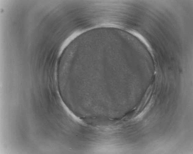 X0000061140910200512091930