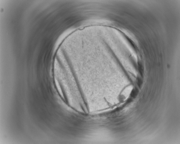 X0000061140912200512091930