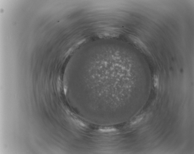 X0000061140915200512091930