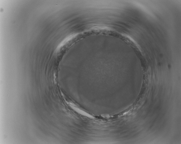 X0000061140919200512091930