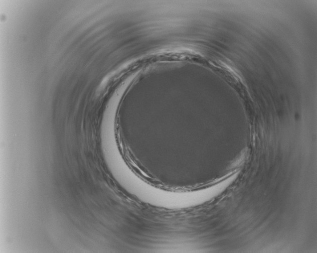 X0000061140920200512091930