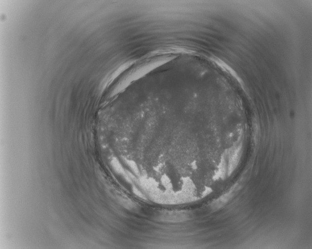 X0000061140921200512091930